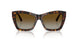 5002T5 - Tortoise - Polar Gradient Brown