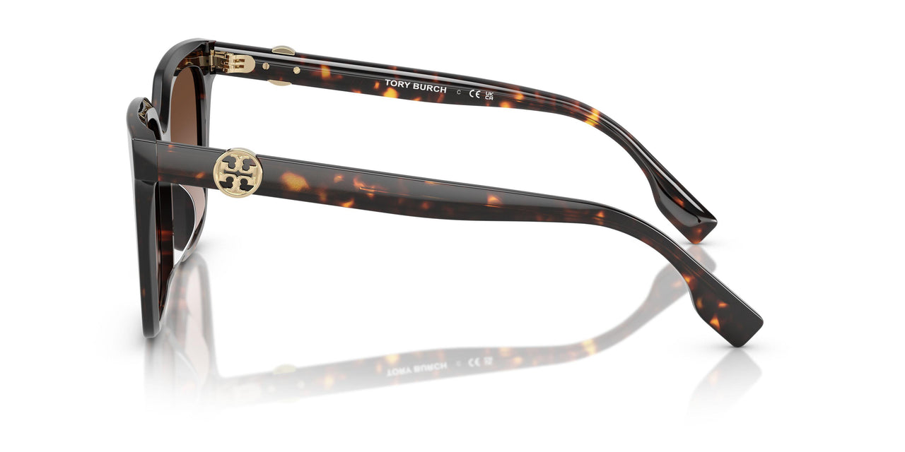 201613 - Tortoise - Brown Gradient