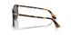 1102B1 - Tortoise - Polar Black