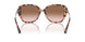 344913 - Tortoise - Brown Pink Gradient