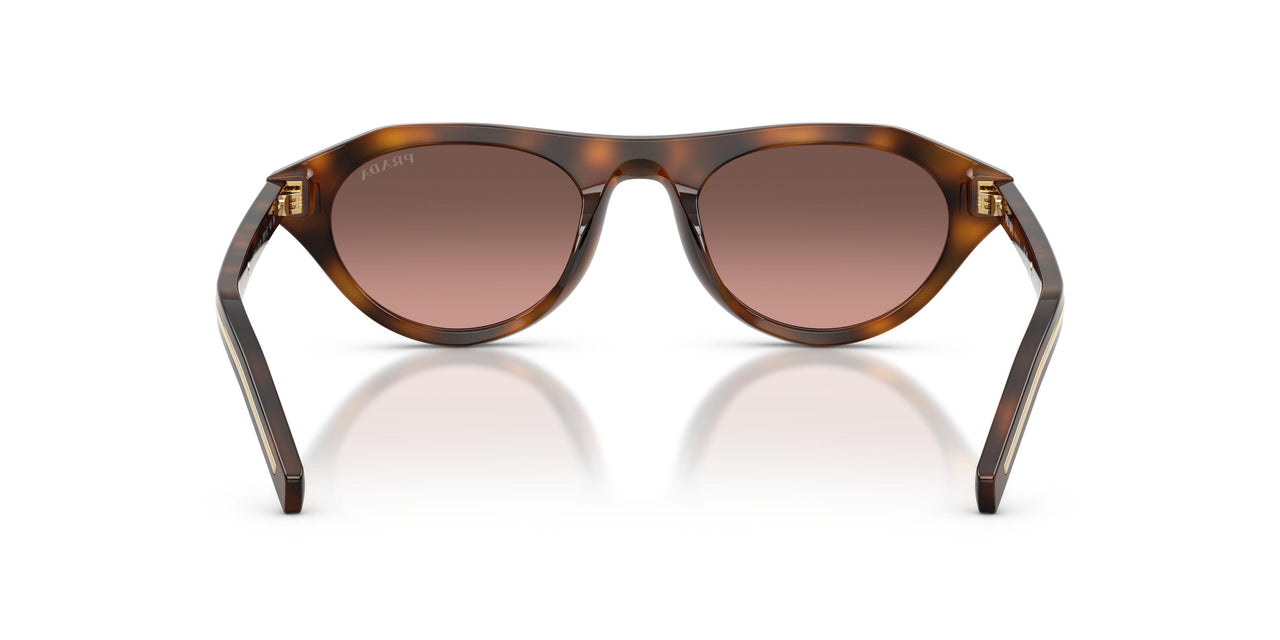 20D11C - Tortoise - Brown Gradient Grey