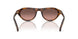 20D11C - Tortoise - Brown Gradient Grey