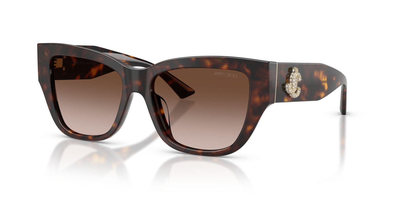 500213 - Tortoise - Gradient Brown