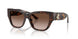 500213 - Tortoise - Gradient Brown