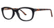 BLCKTRTSMTT - Black/Tortoise Matte