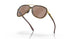 412922 - Brown - Prizm Tungsten Polarized
