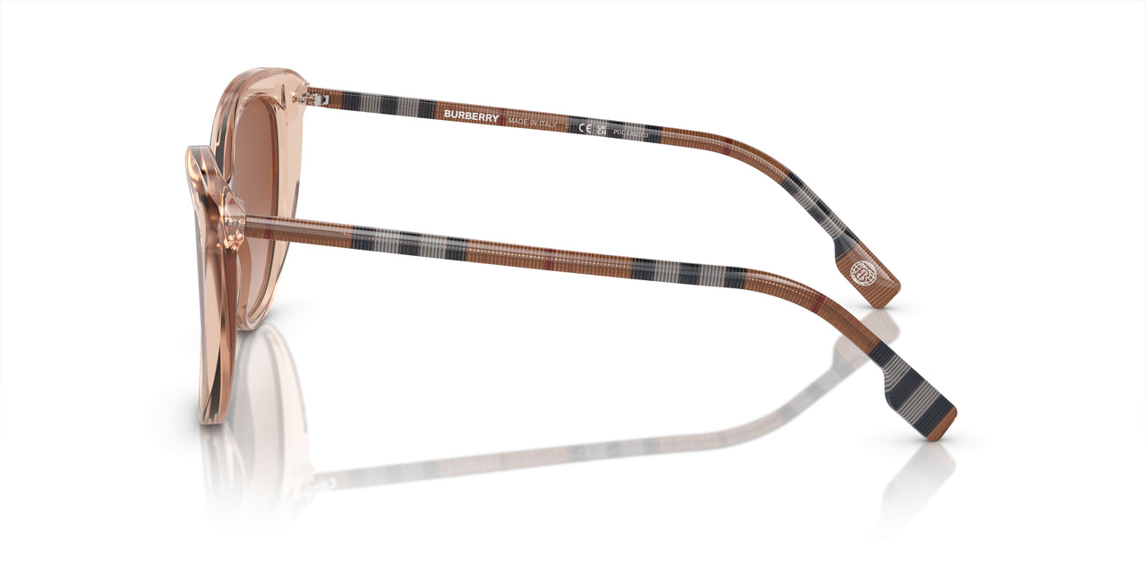 408813 - Pink - Brown Gradient
