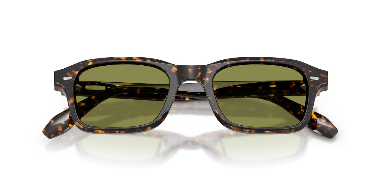 174121 - Tortoise - Fern Wash To Dark