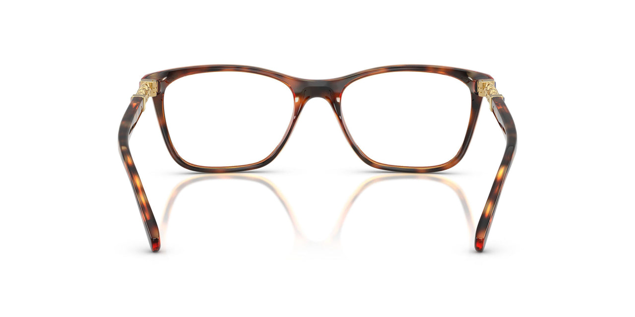 W656 - Brown