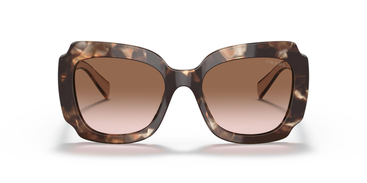01R0A6 - Havana - Brown Gradient