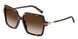 80153B - Tortoise - Brown Gradient