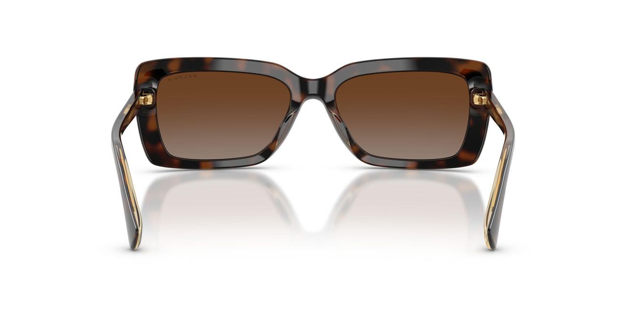 6294T5 - Tortoise - Brown Gradient Polarized