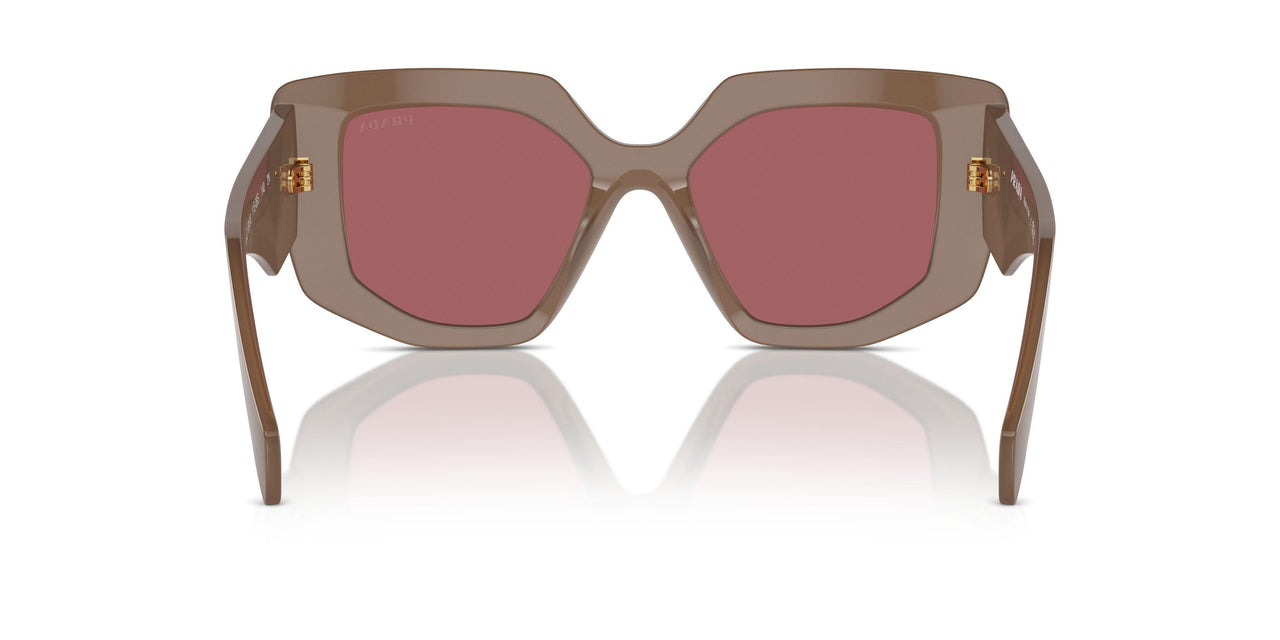 11S08S - Brown - Dark Violet