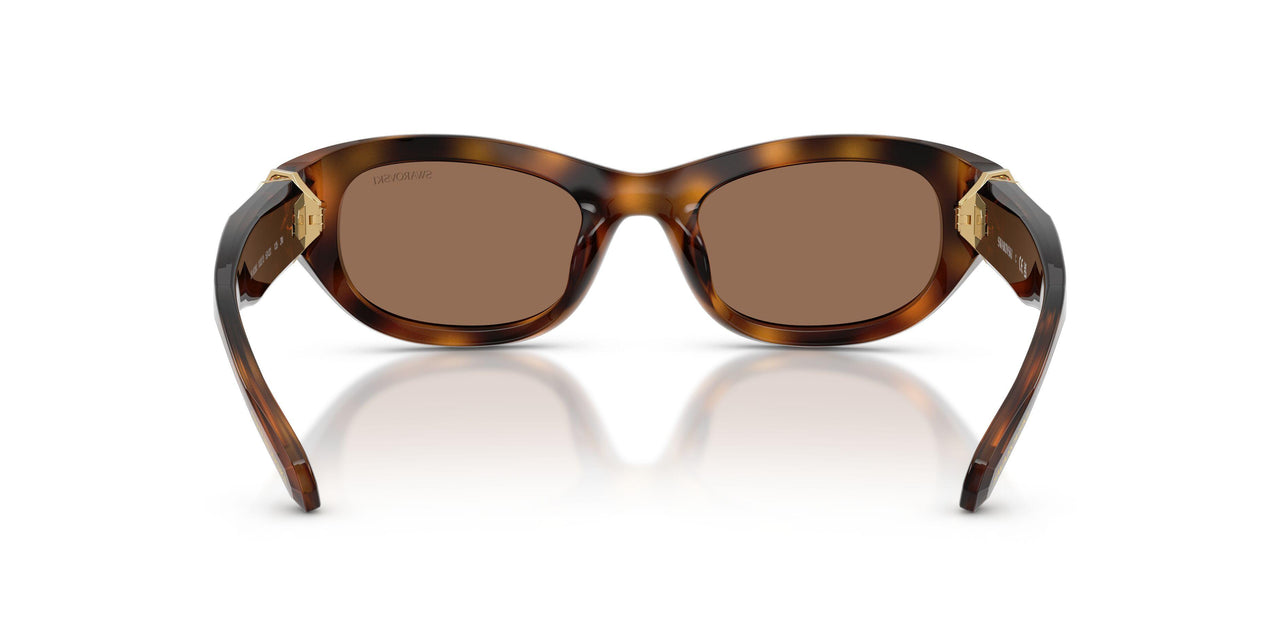100273 - Tortoise - Dark Brown