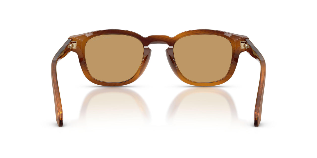 616373 - Tortoise - Brown