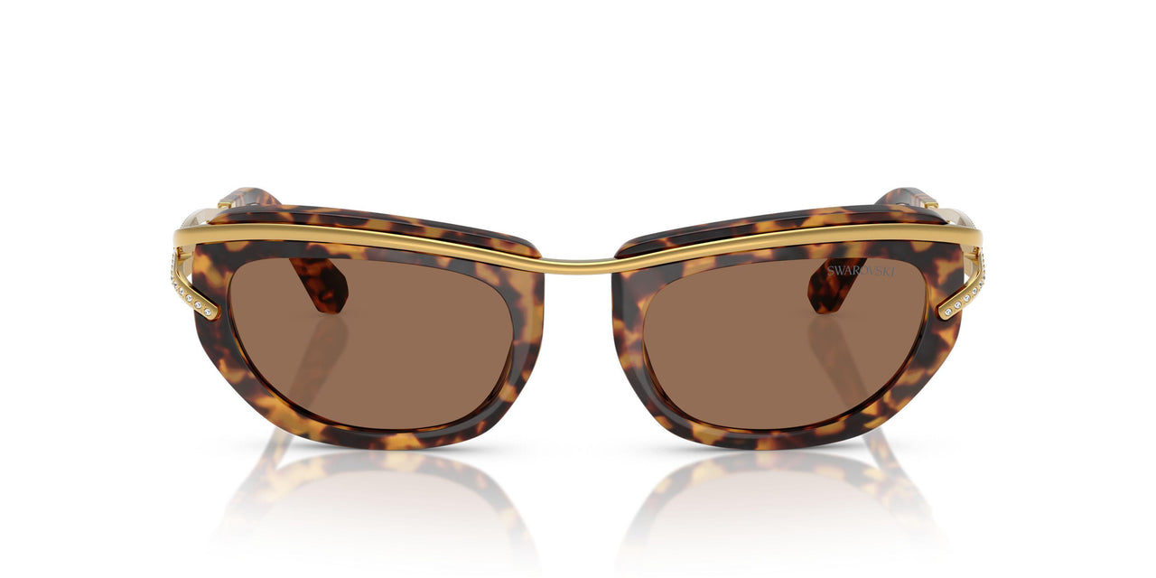403573 - Tortoise - Dark Brown