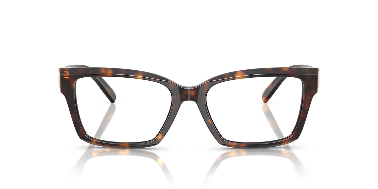 8015 - Tortoise