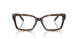8015 - Tortoise