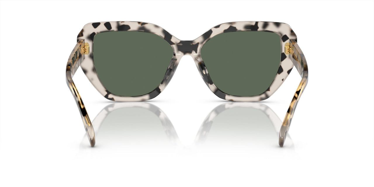 195171 - Tortoise - Dark Green