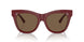 411973 - Red - Dark Brown