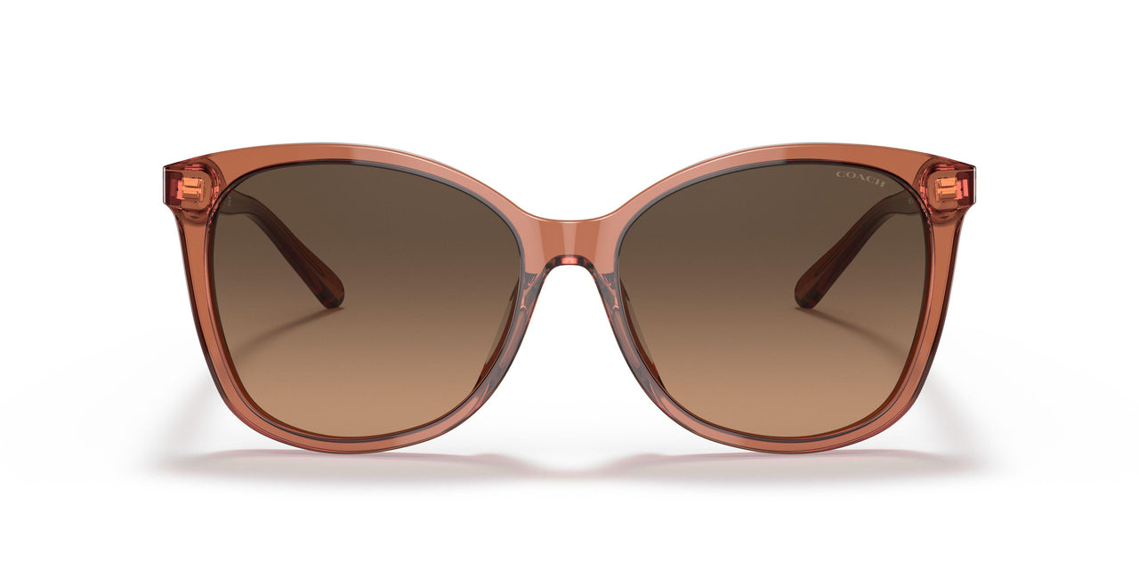 5662G9 - Brown - Brown Gradient