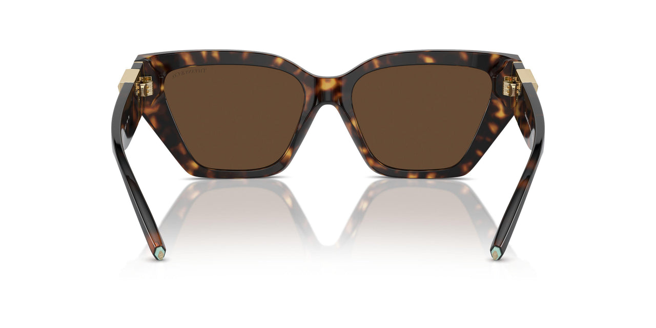 80153G - Tortoise - Light Brown