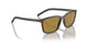 285583 - Brown - Dark Brown Polarized