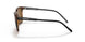277083 - Havana - Polar Brown
