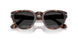 24/48 - Tortoise - Polar Dark Grey