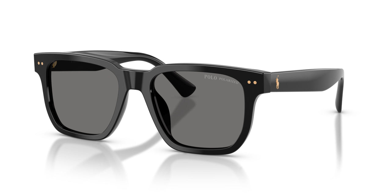 500181 - Black - Polarized Dark Grey