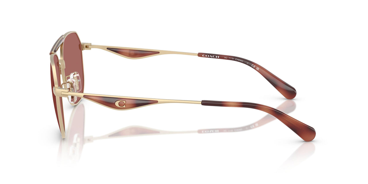 90050H - Gold - Wine Solid