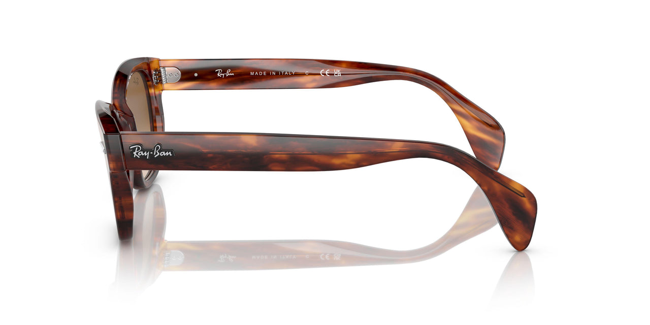 954/51 - Havana - Clear Gradient Brown