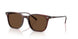 1818AN - Brown - Terra Polarized