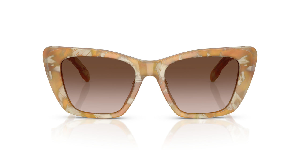 194913 - Tortoise - Brown Gradient
