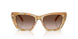 194913 - Tortoise - Brown Gradient