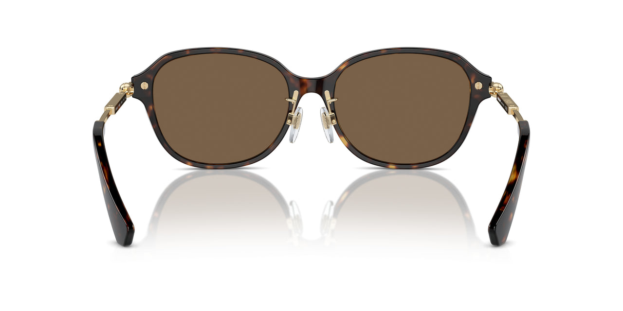 300273 - Brown - Dark Brown