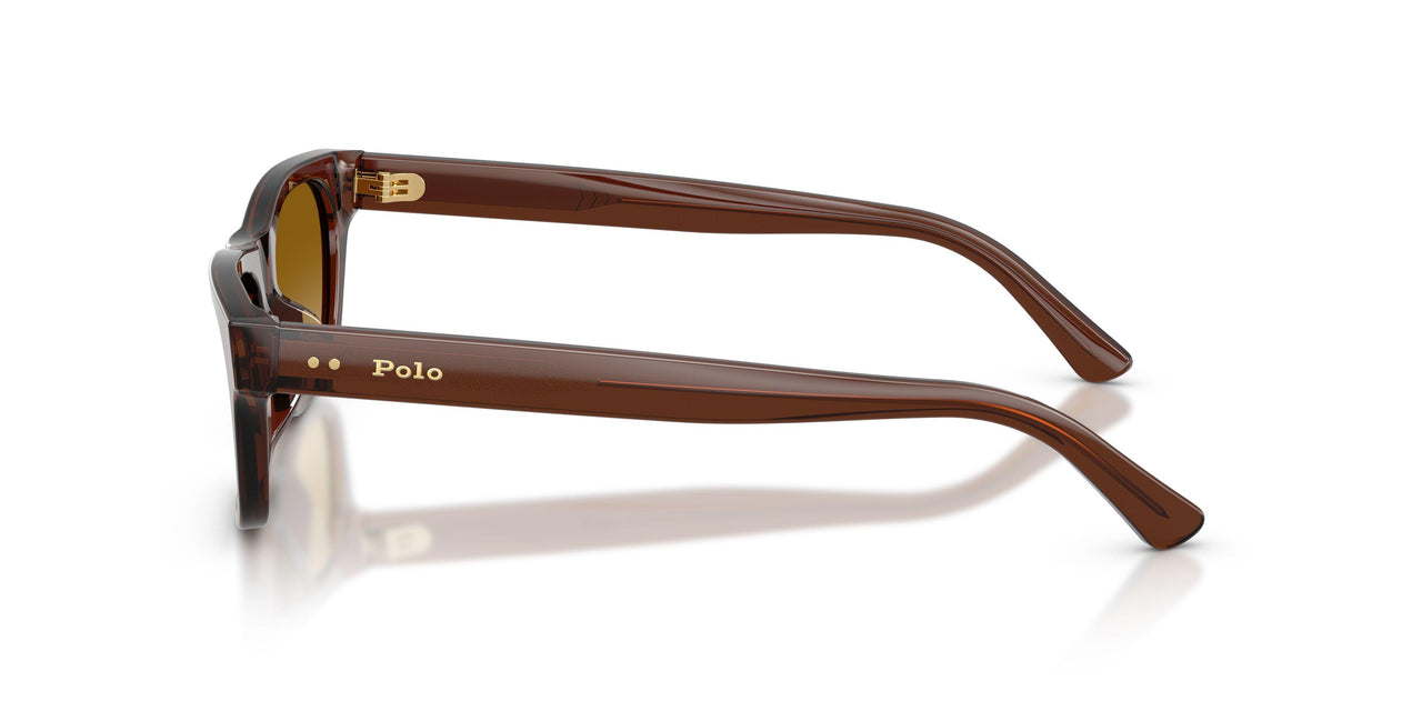 63532L - Brown - Light Yellow Gradient