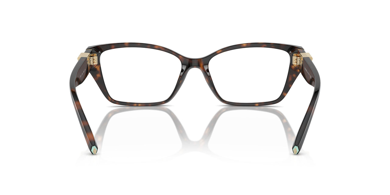 8015 - Tortoise