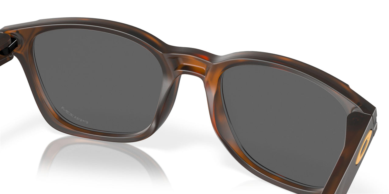 901818 - Brown - Prizm Black