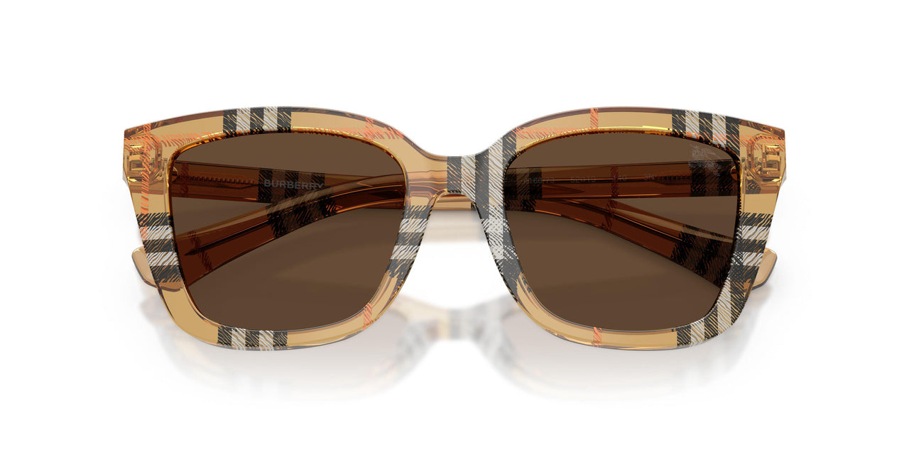416373 - Brown - Dark Brown