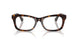 3002 - Brown
