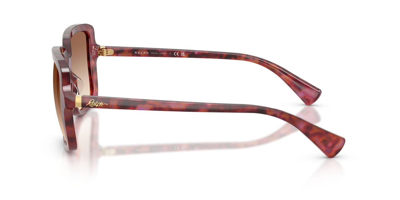 623913 - Violet - Light Brown Gradient