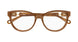 009 - Brown/Havana - Transparent