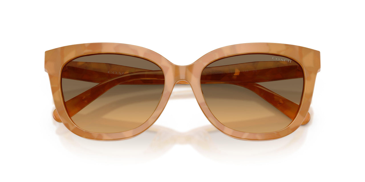 593911 - Tortoise - Olive