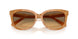 593911 - Tortoise - Olive