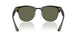 67839A - Black - Polar Dark Green