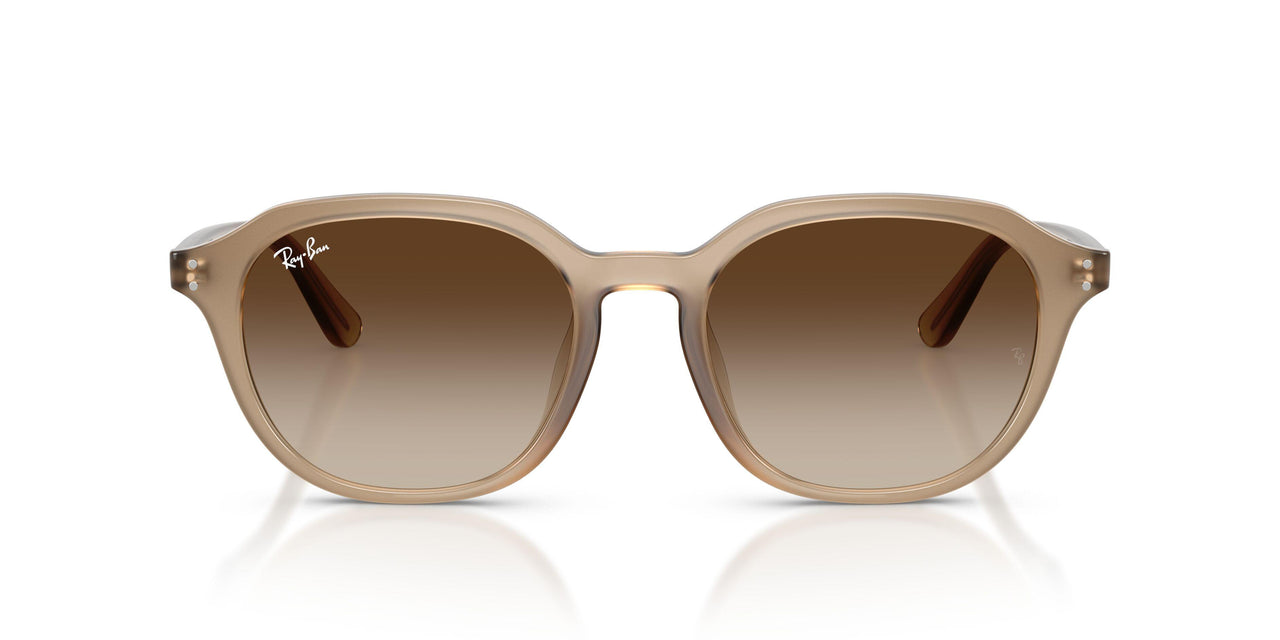 616613 - Beige - Gradient Brown