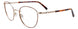 10 - Satin Demi Brown & Shiny Light Gold