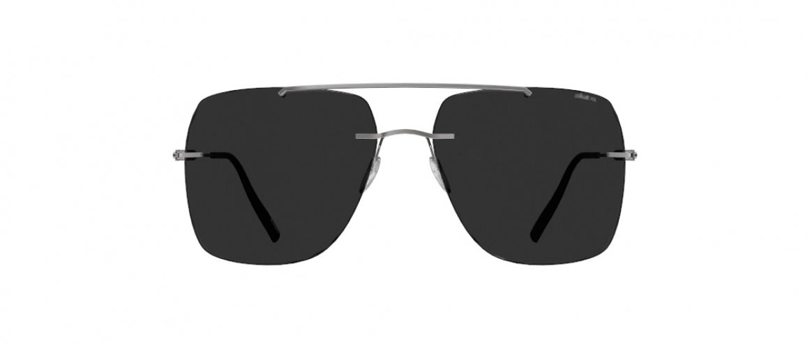 6560 - Ruthenium Black - SLM POL Grey