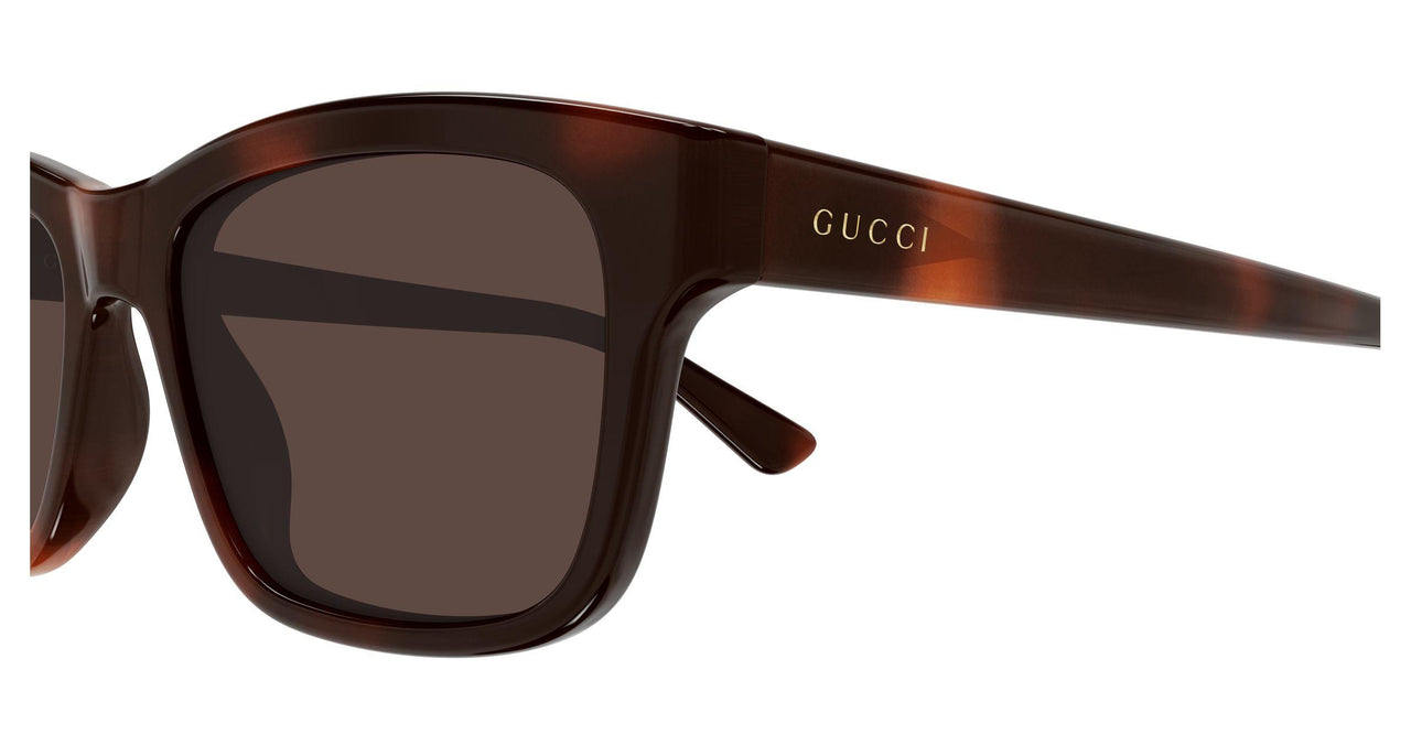 002 - Havana - Brown